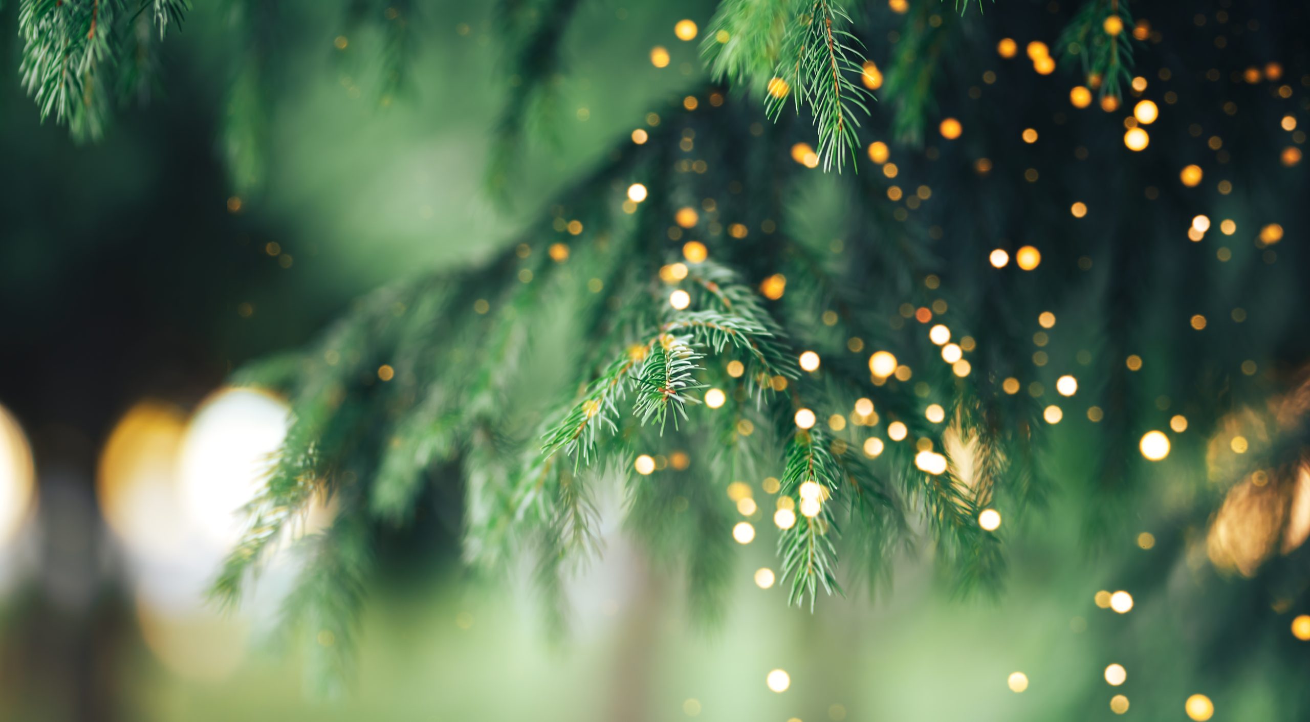 Christmas tree outdoor with snow, lights bokeh around, and snow falling, Christmas atmosphere.